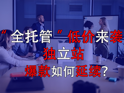 全托管低價來襲，獨立站爆款如何延續(xù)？