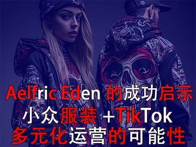 Aelfric Eden的成功啟示：小眾服裝+TikTok多元化運(yùn)營(yíng)的可能性